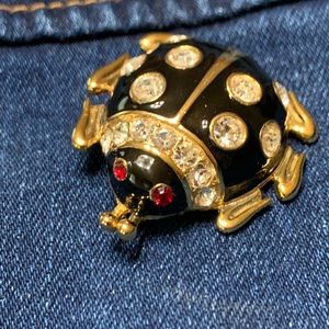 Insect Bug brooch Vintage Pin